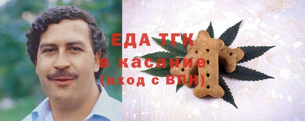 гидра Абаза