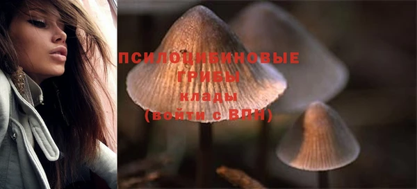 соль ск Абдулино
