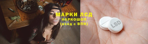 гидра Абаза