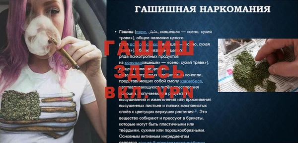 гашик Алексеевка