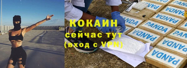 гидра Абаза