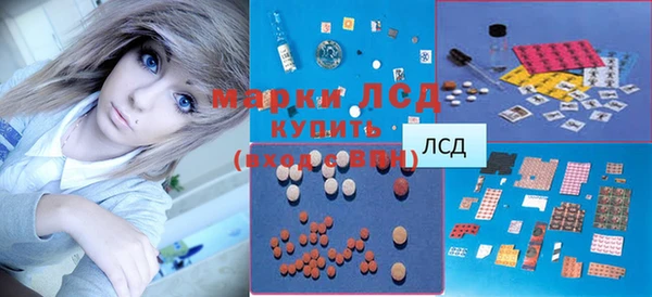гидра Абаза